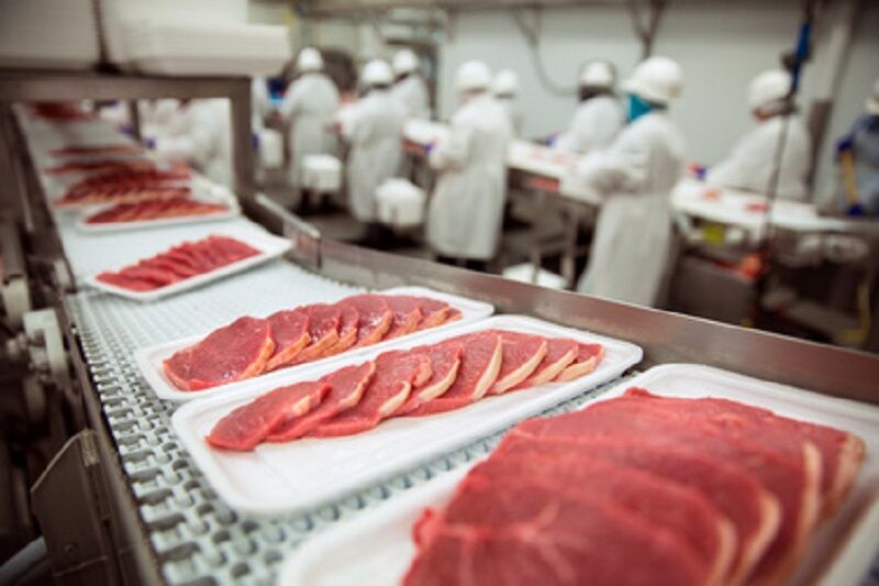 food safety - packing meat at food processing facility